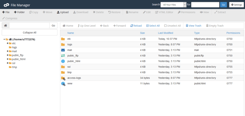 File manager shared hosting