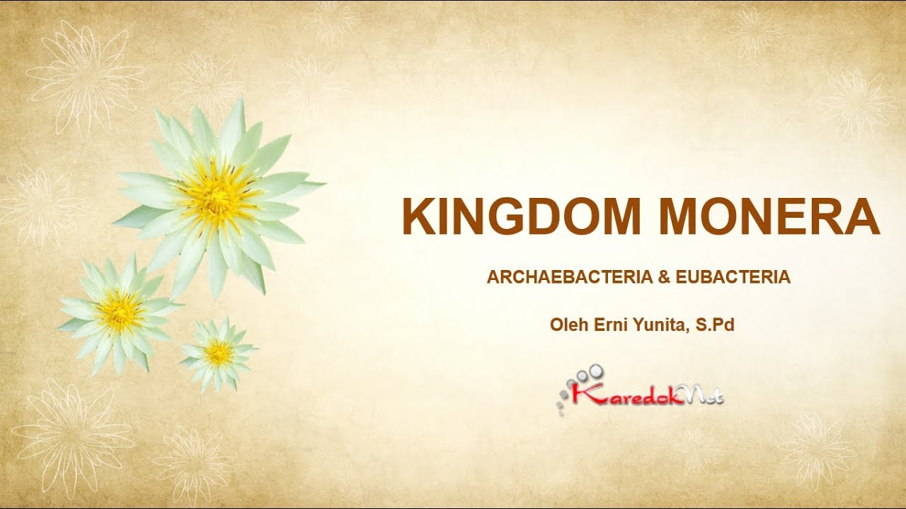 You are currently viewing [Video] Mengenal Archaebacteria dan Eubacteria