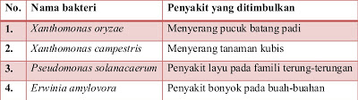 tabel penyakit pada tumbuhan karena bakteri
