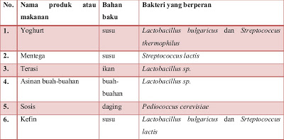 Mengenal Archaebacteria dan Eubacteria  Laman 2 dari 2  Karedok.Net